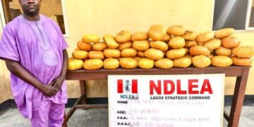 NDLEA Cracks Down Nationwide: Former Lagos councillor, multiple suspects arrested in drug busts