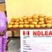 NDLEA Cracks Down Nationwide: Former Lagos councillor, multiple suspects arrested in drug busts