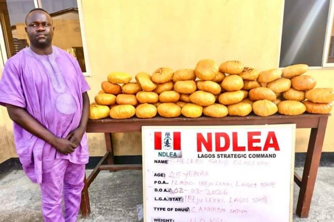 NDLEA Cracks Down Nationwide: Former Lagos councillor, multiple suspects arrested in drug busts