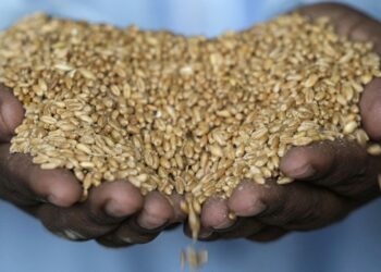 Beyond oil U.S.-Iran tensions threaten global food collapse