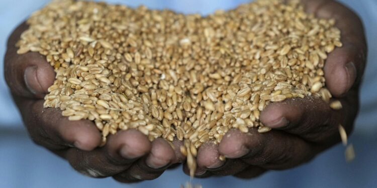 Beyond oil U.S.-Iran tensions threaten global food collapse 92 Beyond oil U.S.-Iran tensions threaten global food collapse