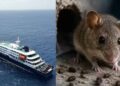 WHO warns countries to prepare for more hantavirus cases as cruise ship outbreak spreads 97 WHO warns countries to prepare for more hantavirus cases as cruise ship outbreak spreads