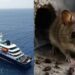 WHO warns countries to prepare for more hantavirus cases as cruise ship outbreak spreads