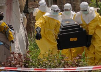 WHO raises Congo Ebola outbreak risk to ‘very high’ as deaths, cases surge 96 WHO raises Congo Ebola outbreak risk to ‘very high’ as deaths, cases surge