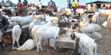 FG declares Wednesday, Thursday public holidays for Eid-el-Kabir 1 FG declares Wednesday, Thursday public holidays for Eid-el-Kabir