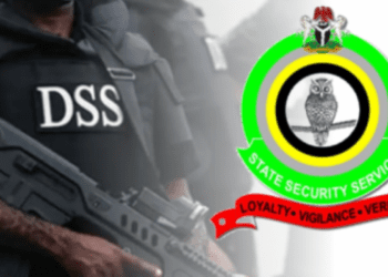 DSS says Okey Ndibe was not arrested, explains airport encounter