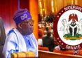 President Tinubu pushes state police bill to Senate as lawmakers prepare for landmark vote