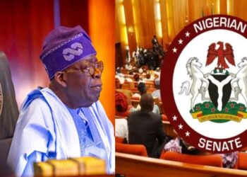President Tinubu pushes state police bill to Senate as lawmakers prepare for landmark vote