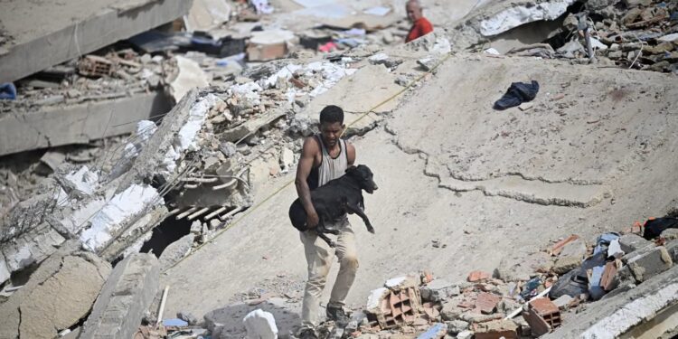 Death toll rises to over 235 as rescue teams race against time after devastating Venezuela earthquakes