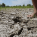 Strong El Nino could bring harsher droughts, floods, heatwaves as climate change worsens impact 100 Strong El Nino could bring harsher droughts, floods, heatwaves as climate change worsens impact