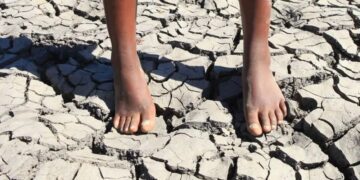 UNICEF: Half of global children face multiple climate threats as crisis deepens