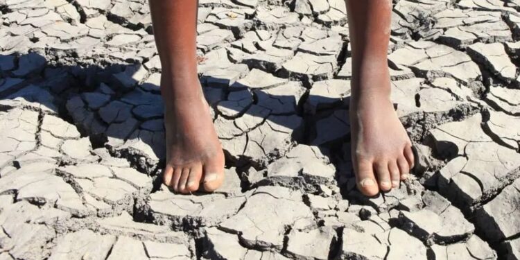 UNICEF: Half of global children face multiple climate threats as crisis deepens 95 UNICEF: Half of global children face multiple climate threats as crisis deepens