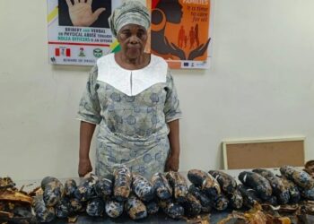 NDLEA intercepts cocaine hidden in fake plantain, arrests UK-based grandmother, suspected drug syndicate 98 NDLEA intercepts cocaine hidden in fake plantain, arrests UK-based grandmother, suspected drug syndicate