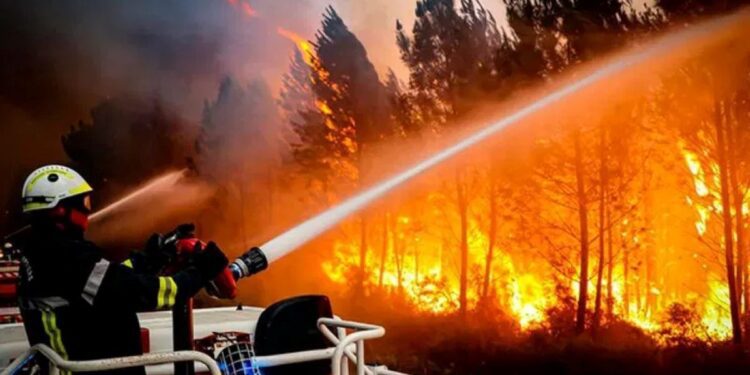 More than 20,000 evacuated as fast-moving wildfire tears through southwest France, forcing tourists to flee 97 More than 20,000 evacuated as fast-moving wildfire tears through southwest France, forcing tourists to flee