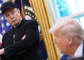 Elon Musk admits politics distracted him, says joining Trump camp took focus away from business