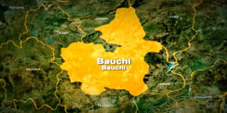 Bauchi declares 17 August public holiday for local government elections