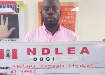 NDLEA arrests social media influencer over alleged $28m cocaine trafficking network