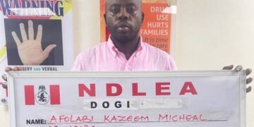 NDLEA arrests social media influencer over alleged $28m cocaine trafficking network