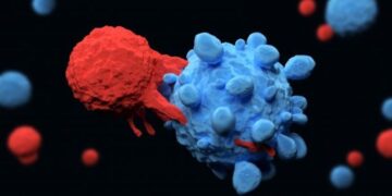 Experimental T-Cell therapy clears metastatic liver cancer in three-year-old boy