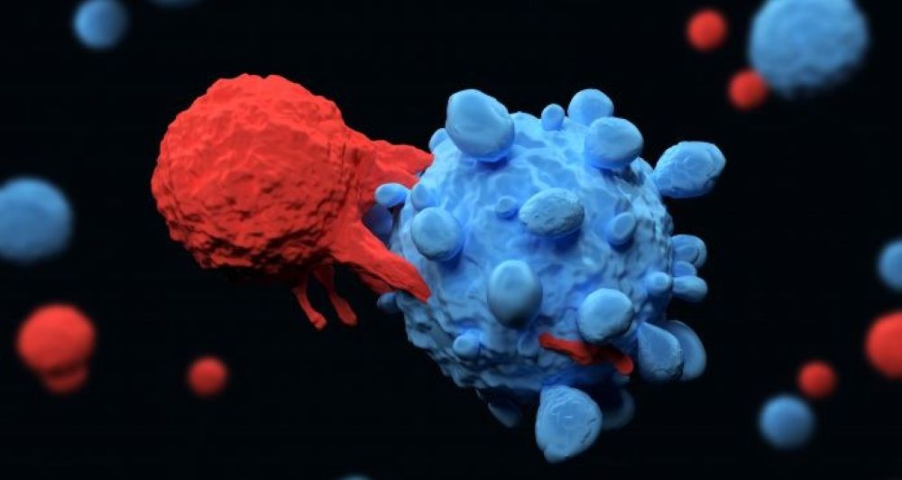 Experimental T-Cell therapy clears metastatic liver cancer in three-year-old boy