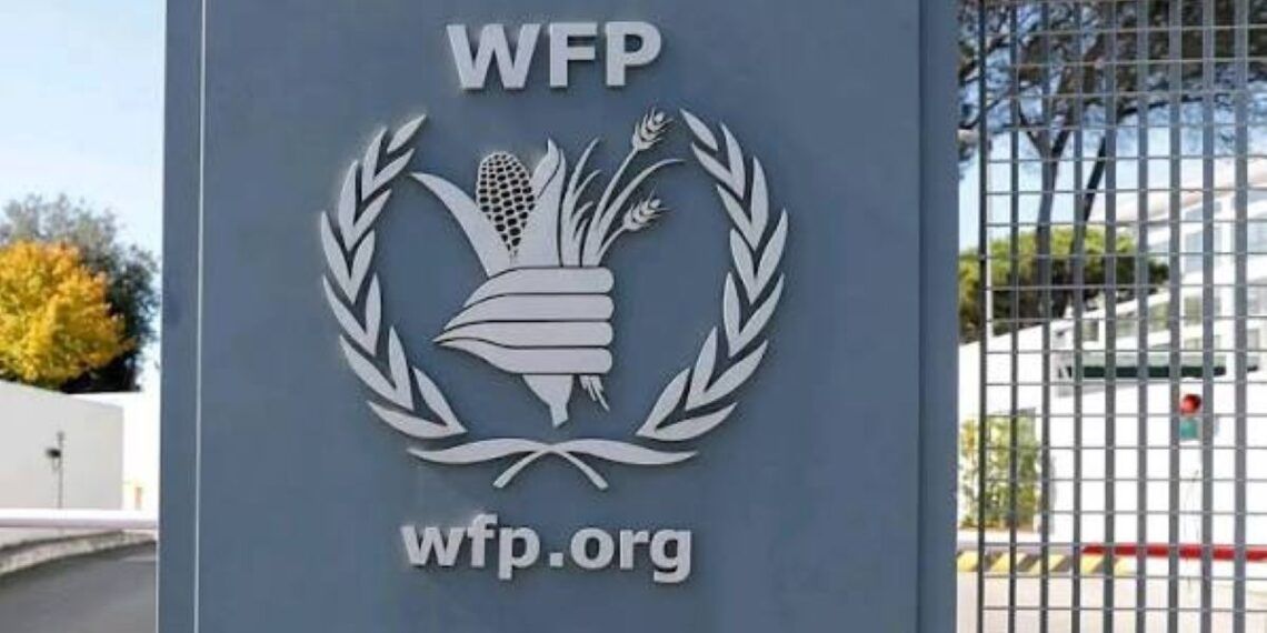 Sudan’s hunger crisis deepens as World Food Programme funding falls by half