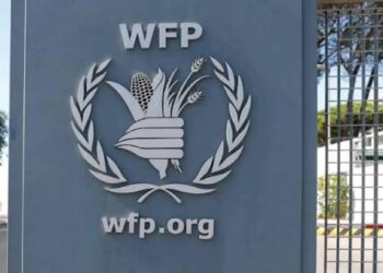 Sudan’s hunger crisis deepens as World Food Programme funding falls by half