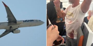 Passengers subdue Flydubai co-pilot after alleged attempt to crash flight