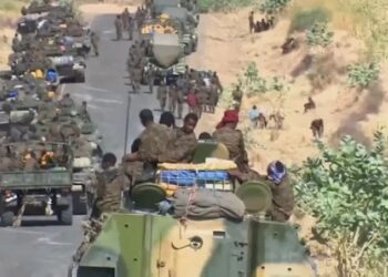 African Union urges Ethiopia, Eritrea, Egypt to ease regional tensions 98 African Union urges Ethiopia, Eritrea, Egypt to ease regional tensions