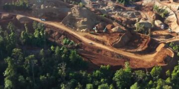 The Hidden Cost of Electric Cars: How battery nickel is linked to forest destruction in indigenous lands