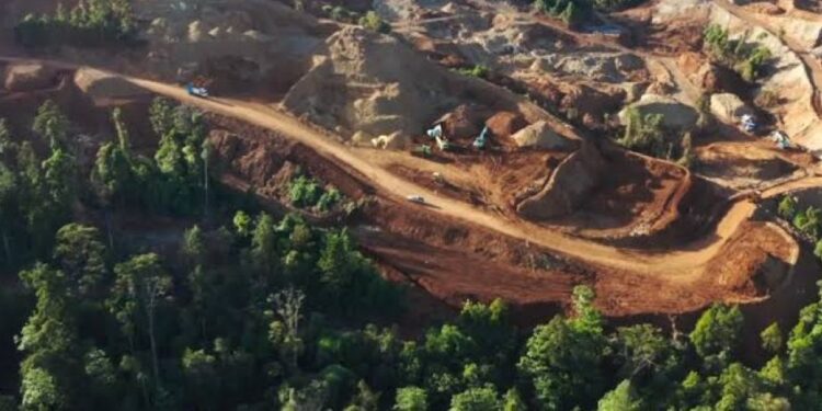 The Hidden Cost of Electric Cars: How battery nickel is linked to forest destruction in indigenous lands 97 The Hidden Cost of Electric Cars: How battery nickel is linked to forest destruction in indigenous lands