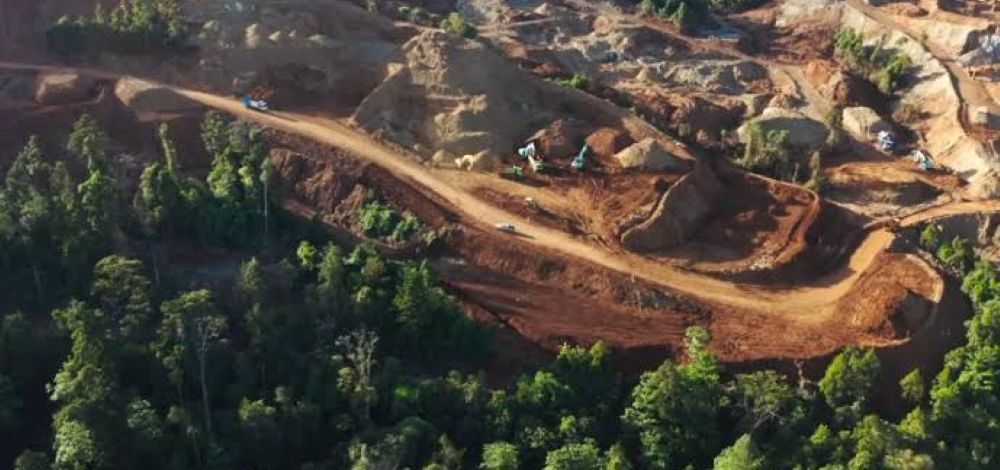 The Hidden Cost of Electric Cars: How battery nickel is linked to forest destruction in indigenous lands