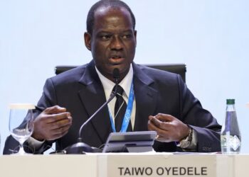 Developing nations pay $500bn more in debt costs than rich countries, says G24 chair