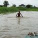 Climate Watch: Flood destroys 100 houses, farmlands in Bauchi 97 Climate Watch: Flood destroys 100 houses, farmlands in Bauchi