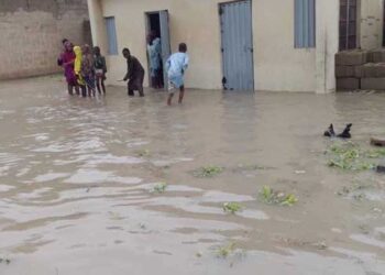 Report: States can't account for multi-billion Ecological Fund accruals 91 Many killed in downpour in Jigawa