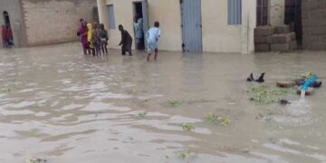 Many killed in downpour in Jigawa 1 Many killed in downpour in Jigawa