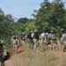 Defence HQ: 11 terrorists killed, weapons seized in Kaduna