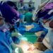 US surgeons transplant a pig kidney into a human in the world’s first trial 97 Surgery