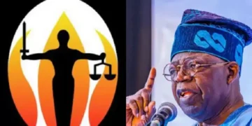Publish loan agreements by Obasanjo, others SERAP tells Tinubu 1 Publish loan agreements by Obasanjo, others SERAP tells Tinubu