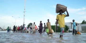 Borno flood impacts one million persons, claims 30 lives, displaces 414,000