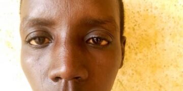 Police makes one arrest in search for fleeing Borno prison escapees