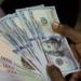 Naira falls to N1,750/$ in parallel market 97 Naira falls to N1,750/$ in parallel market