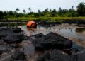 AP: Leaked UN files show Nigerian agency failed to clean up Ogoni despite $1bn funding 94 AP: Leaked UN files show Nigerian agency failed to clean up Ogoni despite $1bn funding