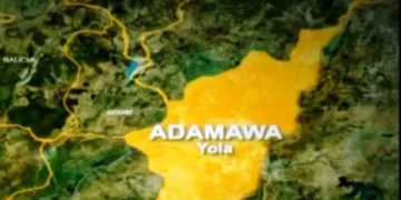 10-year-old boy allegedly killed for rituals in Adamawa
