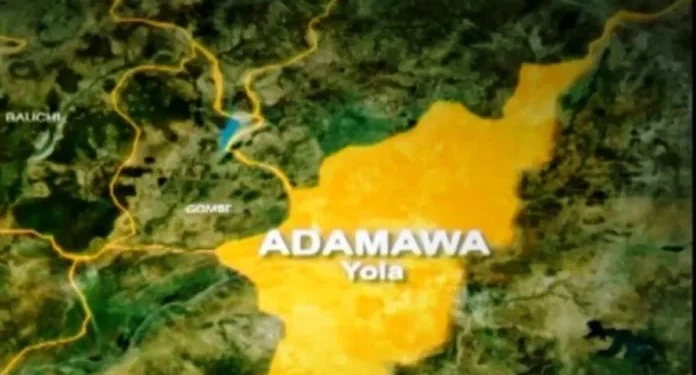 10-year-old boy allegedly killed for rituals in Adamawa 92 10-year-old boy allegedly killed for rituals in Adamawa