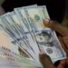 Naira holds steady in early trading as FX market shows rare moment of calm 97 Naira holds steady in early trading as FX market shows rare moment of calm