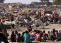 Amnesty releases devastating report on RSF war crimes at Sudan’s Zamzam Camp