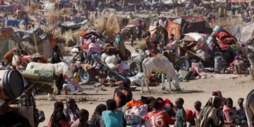Amnesty releases devastating report on RSF war crimes at Sudan's Zamzam Camp 1 Amnesty releases devastating report on RSF war crimes at Sudan’s Zamzam Camp