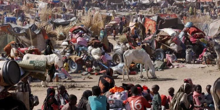 Amnesty releases devastating report on RSF war crimes at Sudan's Zamzam Camp 92 Amnesty releases devastating report on RSF war crimes at Sudan’s Zamzam Camp