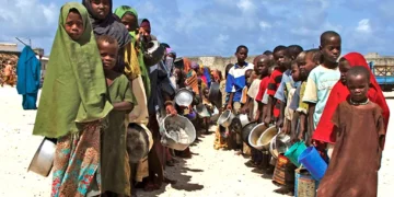 Northeast Nigeria faces worst hunger in a decade amid aid cuts – UN