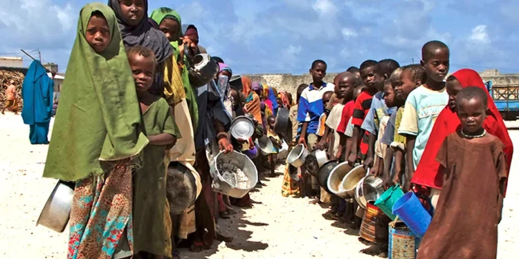 Northeast Nigeria faces worst hunger in a decade amid aid cuts – UN